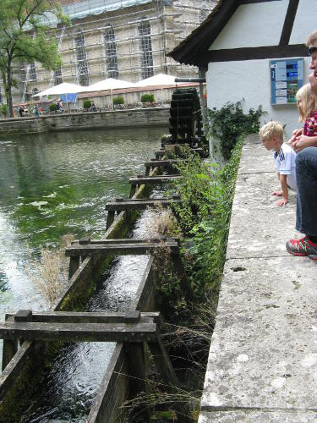 Blick in das Gerinne Blick in das Gerinne